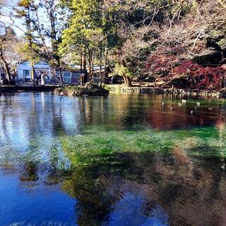 出流原弁天池の写真11