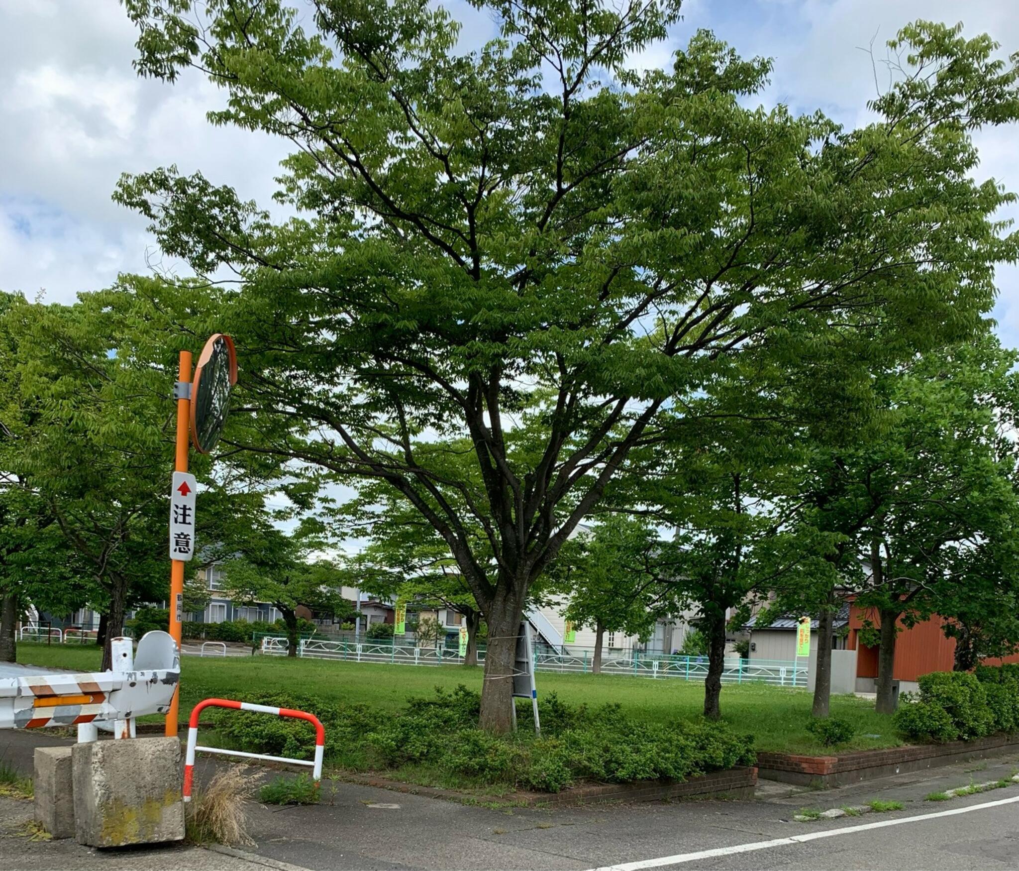 西新斎町公園の代表写真8