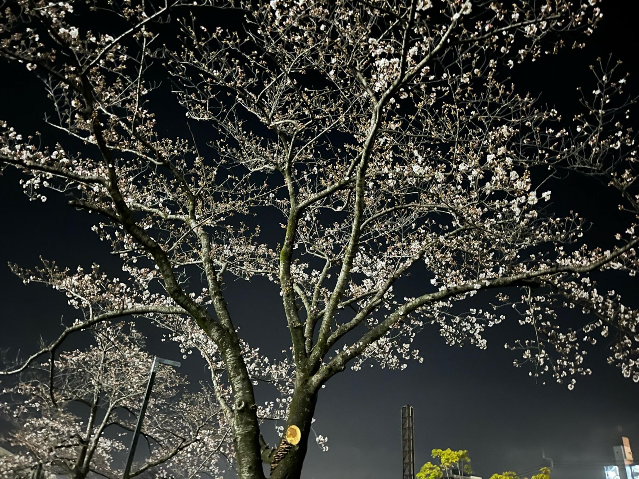 水戸市役所の代表写真10