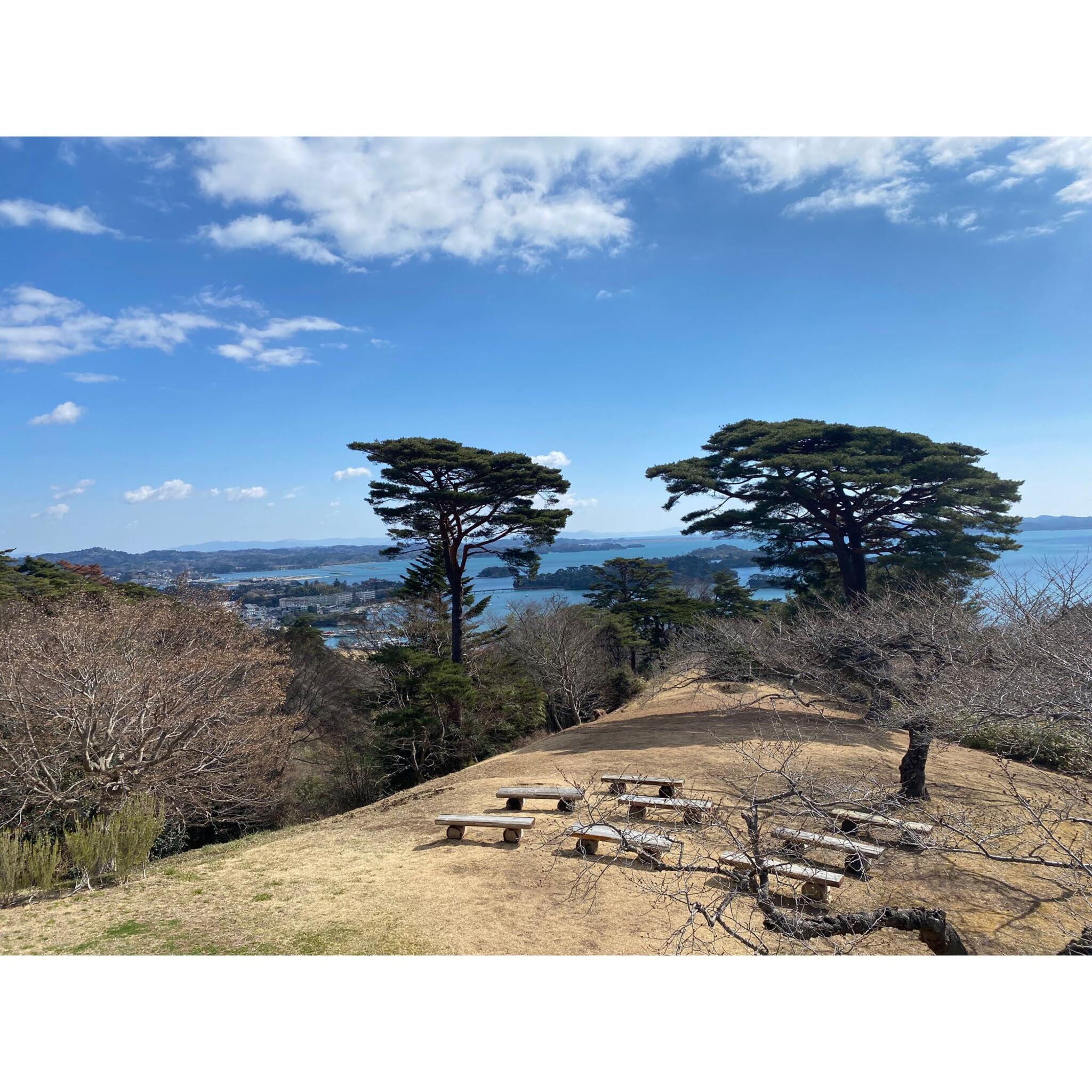 西行戻しの松公園の代表写真6