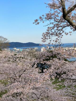 鹿島御児神社のクチコミ写真1