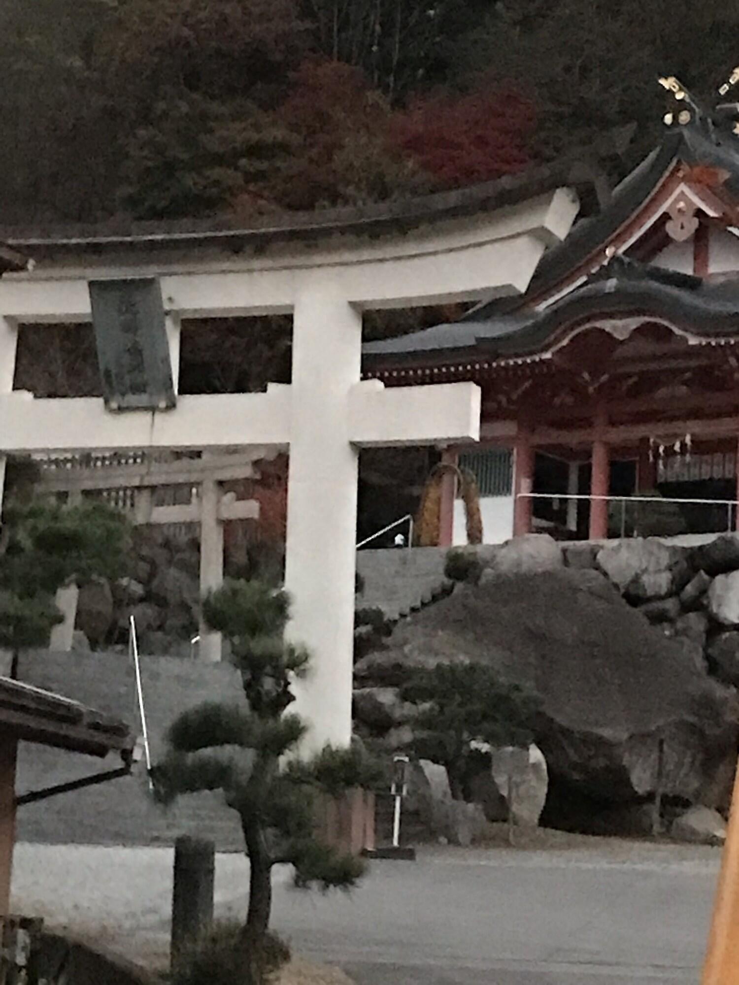 夫婦木神社姫の宮 ストア ペット連れ