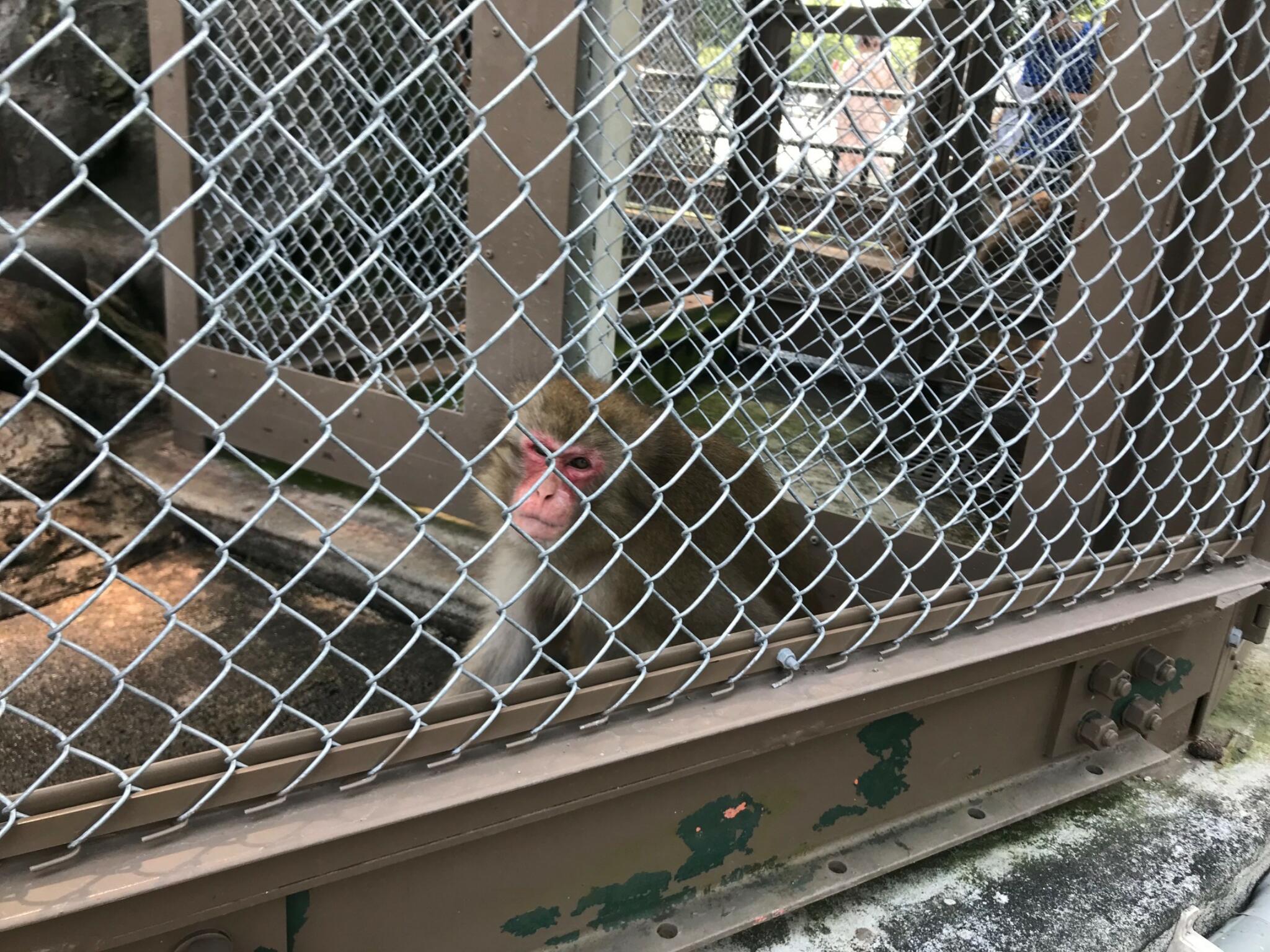 小田原城動物園の代表写真3