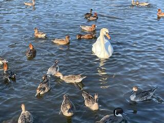 みやま公園のクチコミ写真1