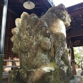 向日神社の写真28