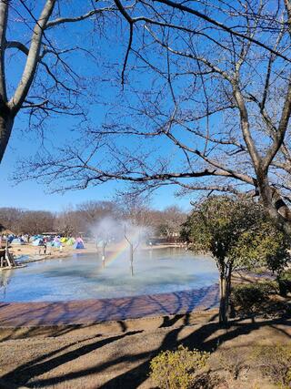 ふなばしアンデルセン公園のクチコミ写真2