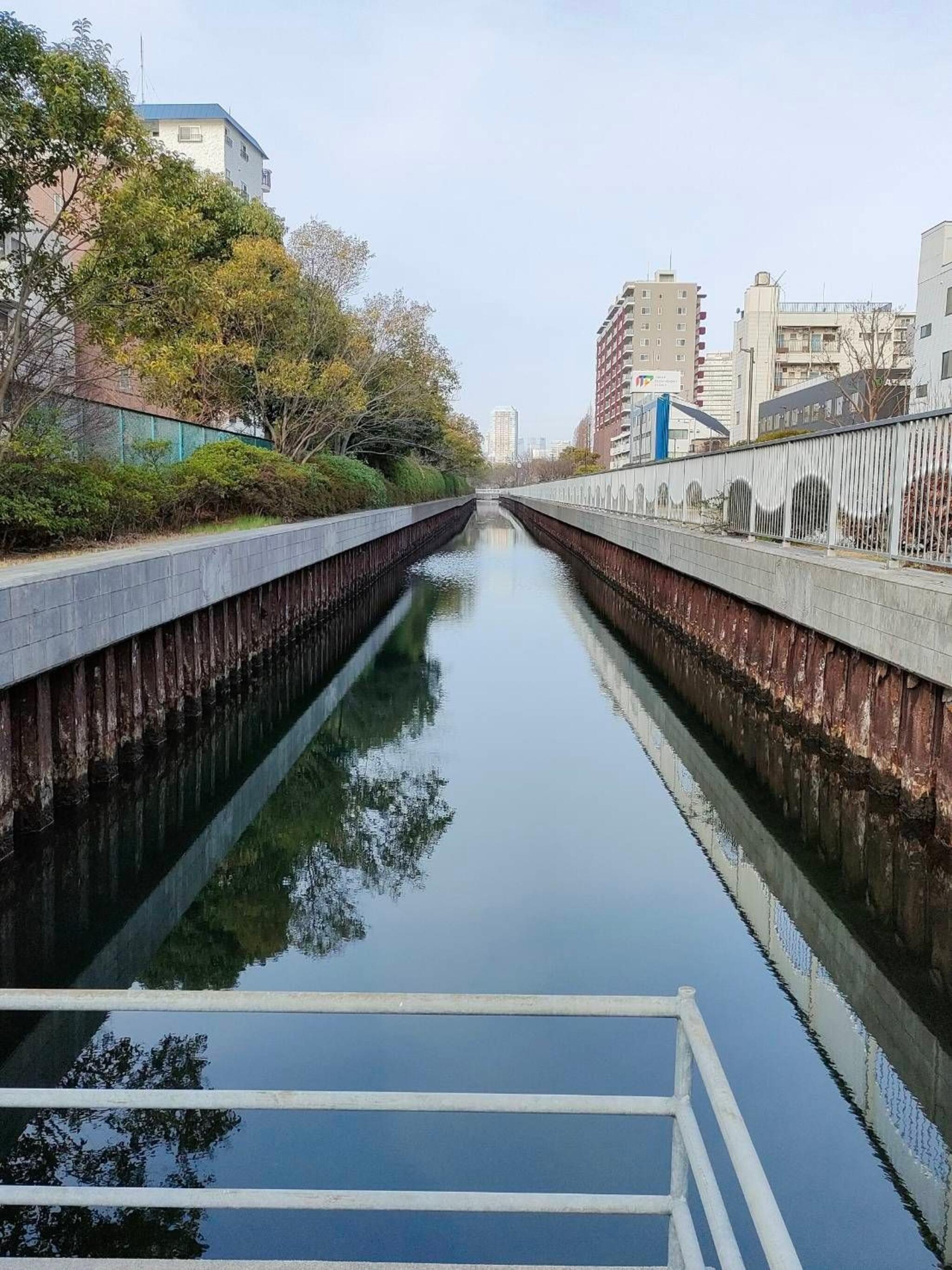 横 十 間 川 オファー カメラ