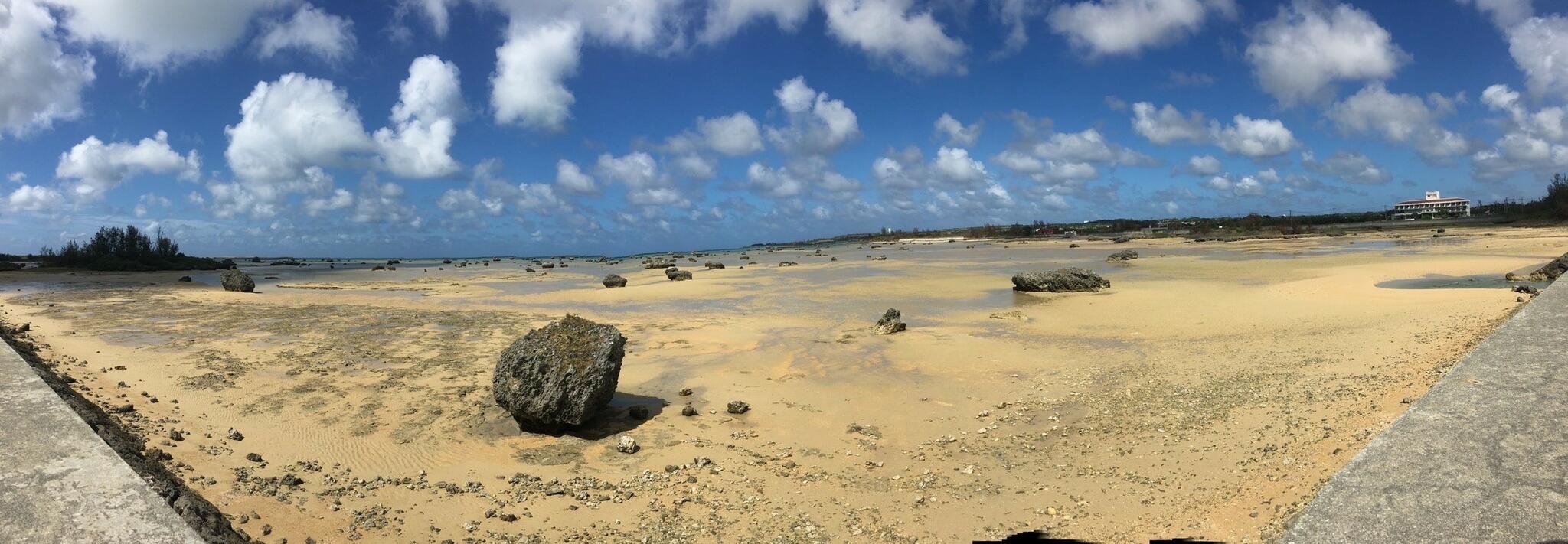 佐和田の浜の代表写真3