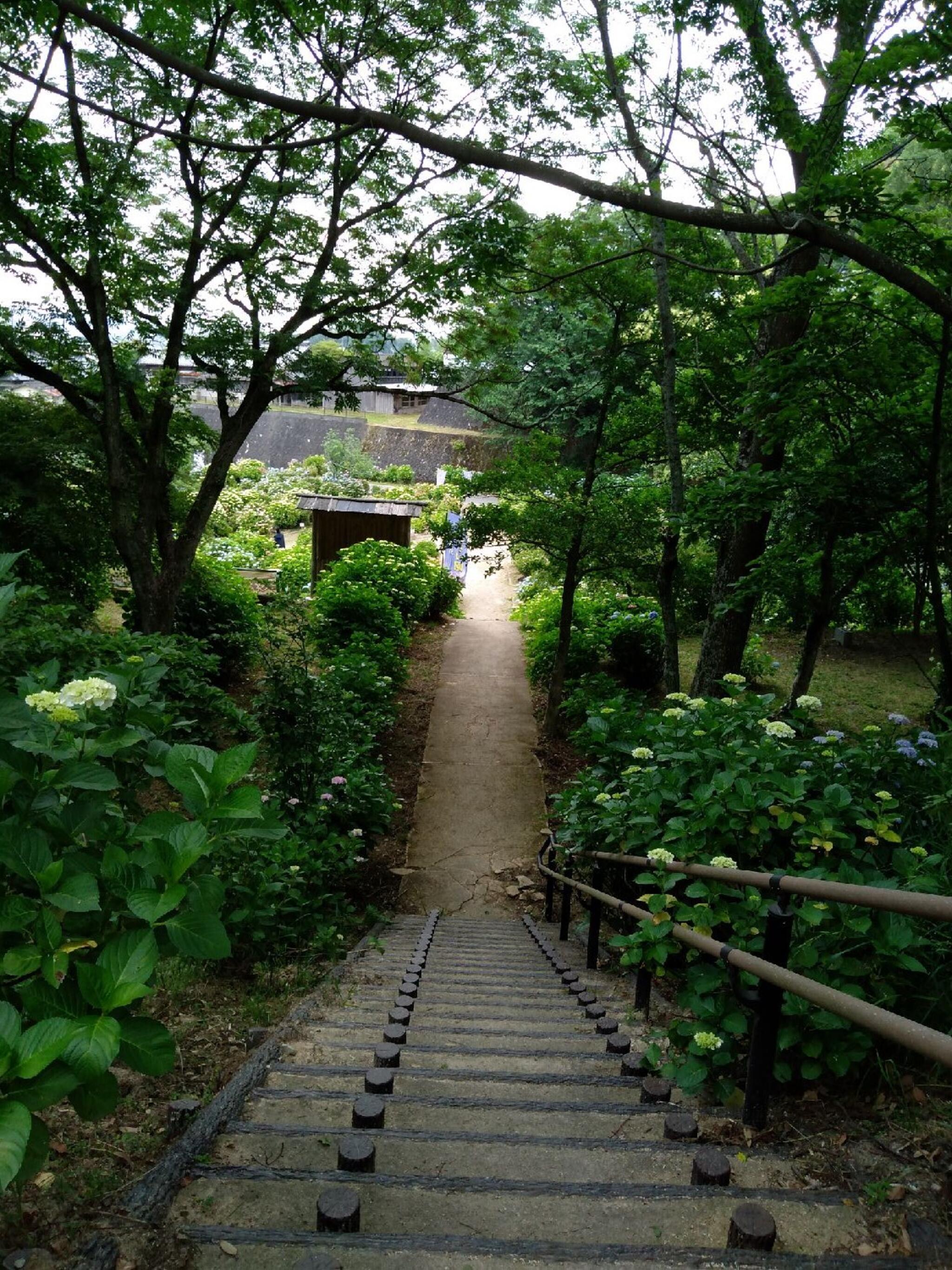 天拝山歴史自然公園の代表写真9