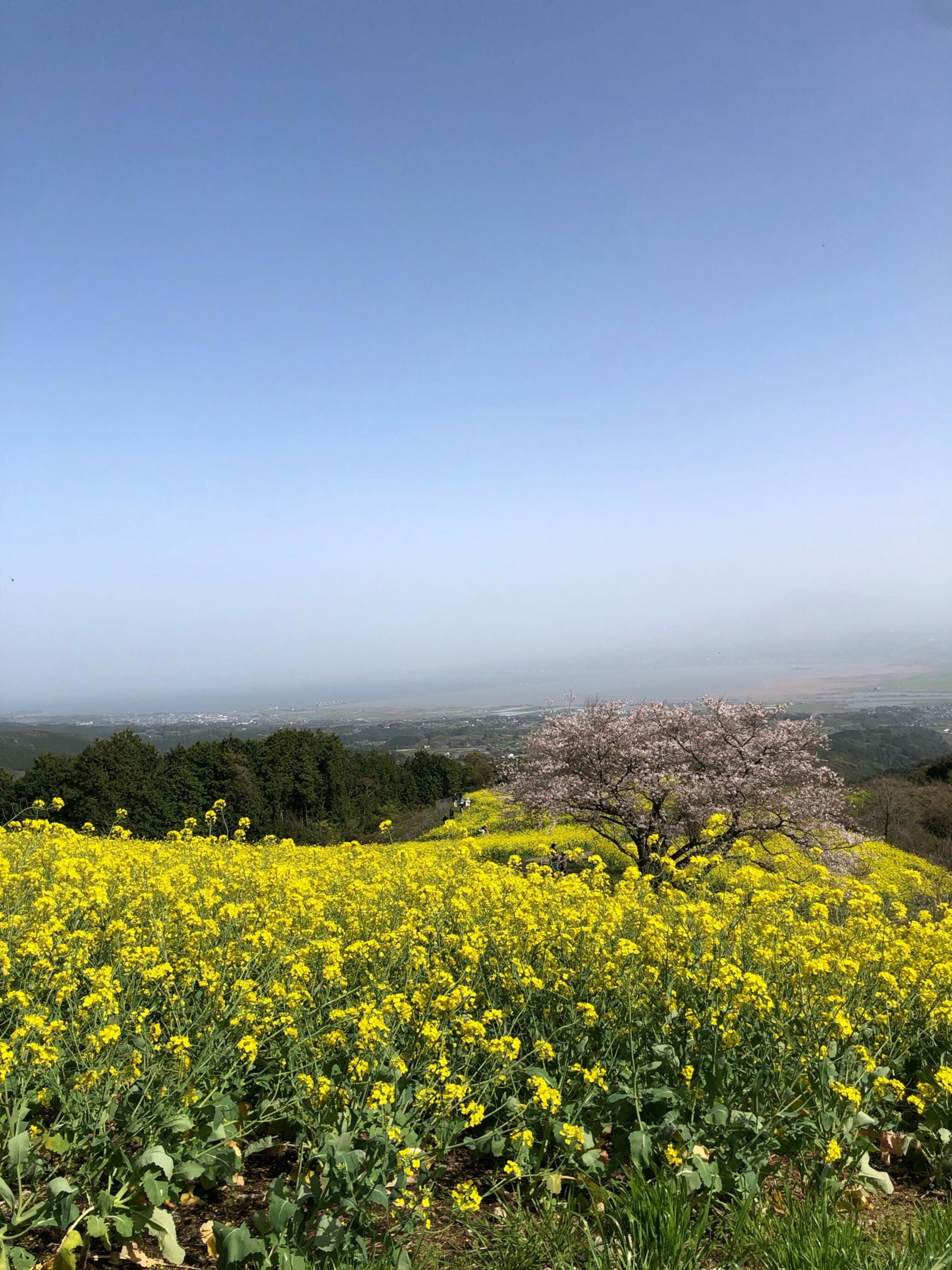 白木峰高原の代表写真6