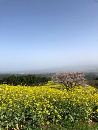 白木峰高原のクチコミ写真2