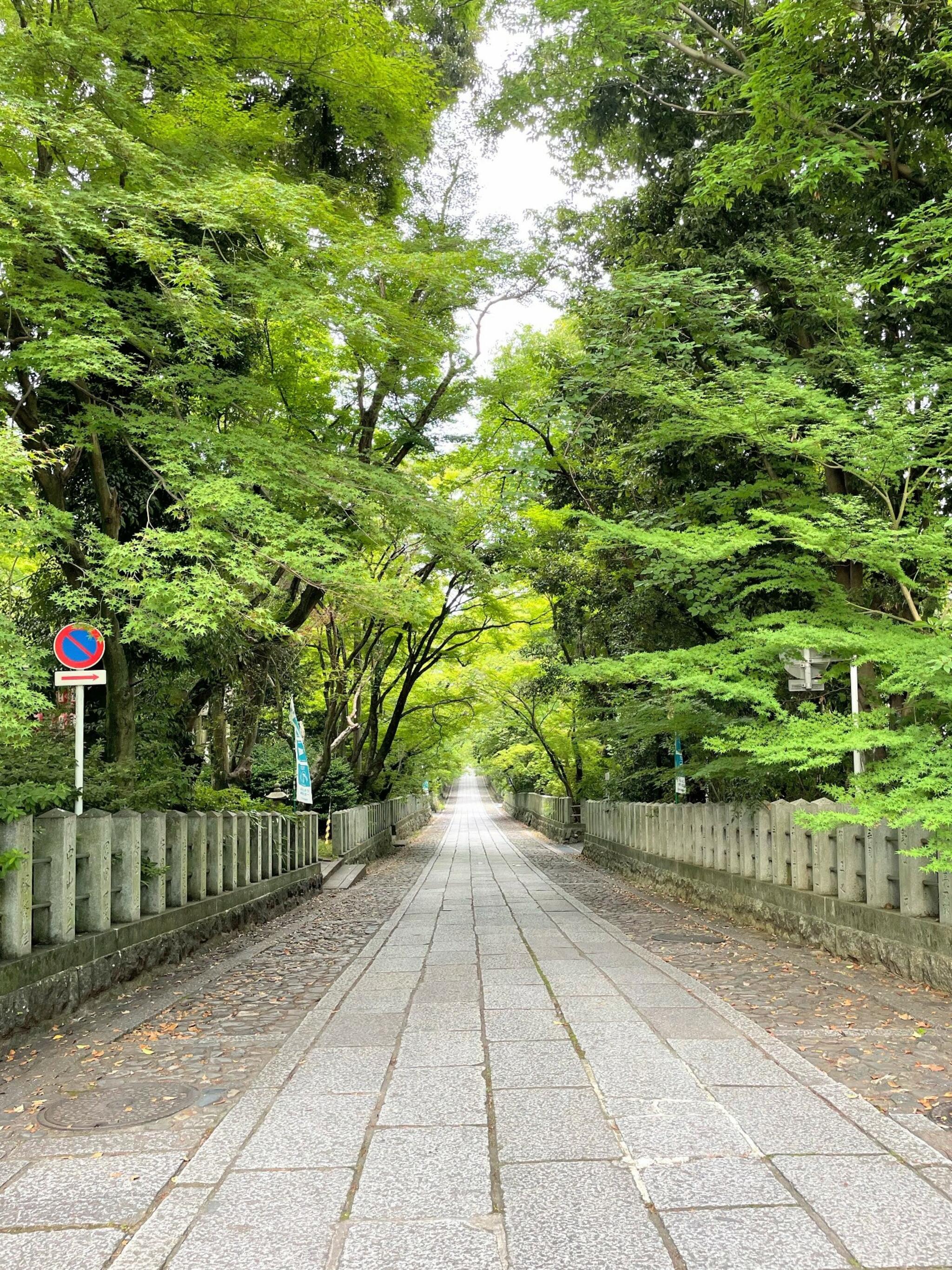 向日神社の代表写真4