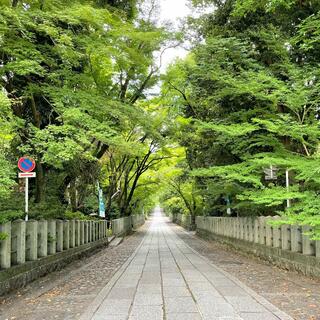 向日神社の写真4