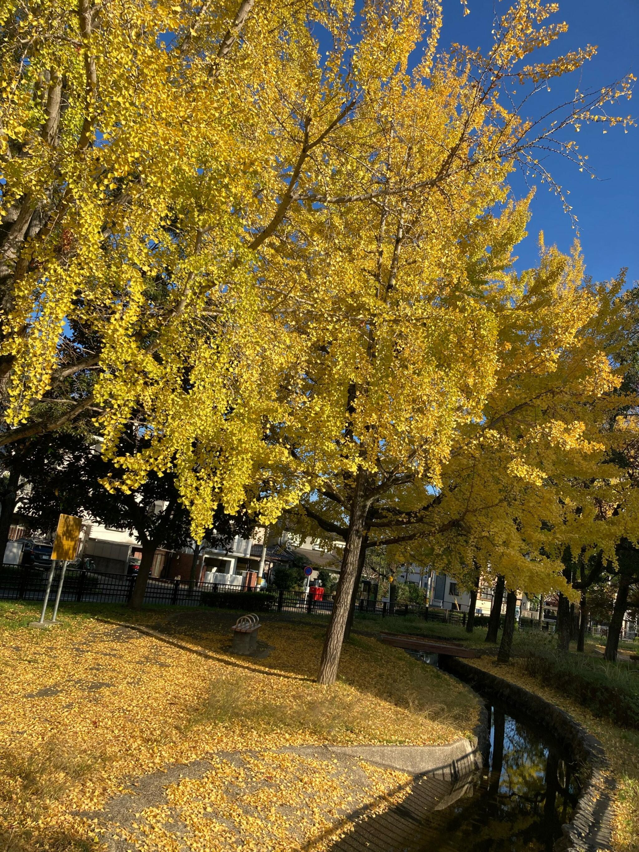 紫明せせらぎ第2公園の代表写真6