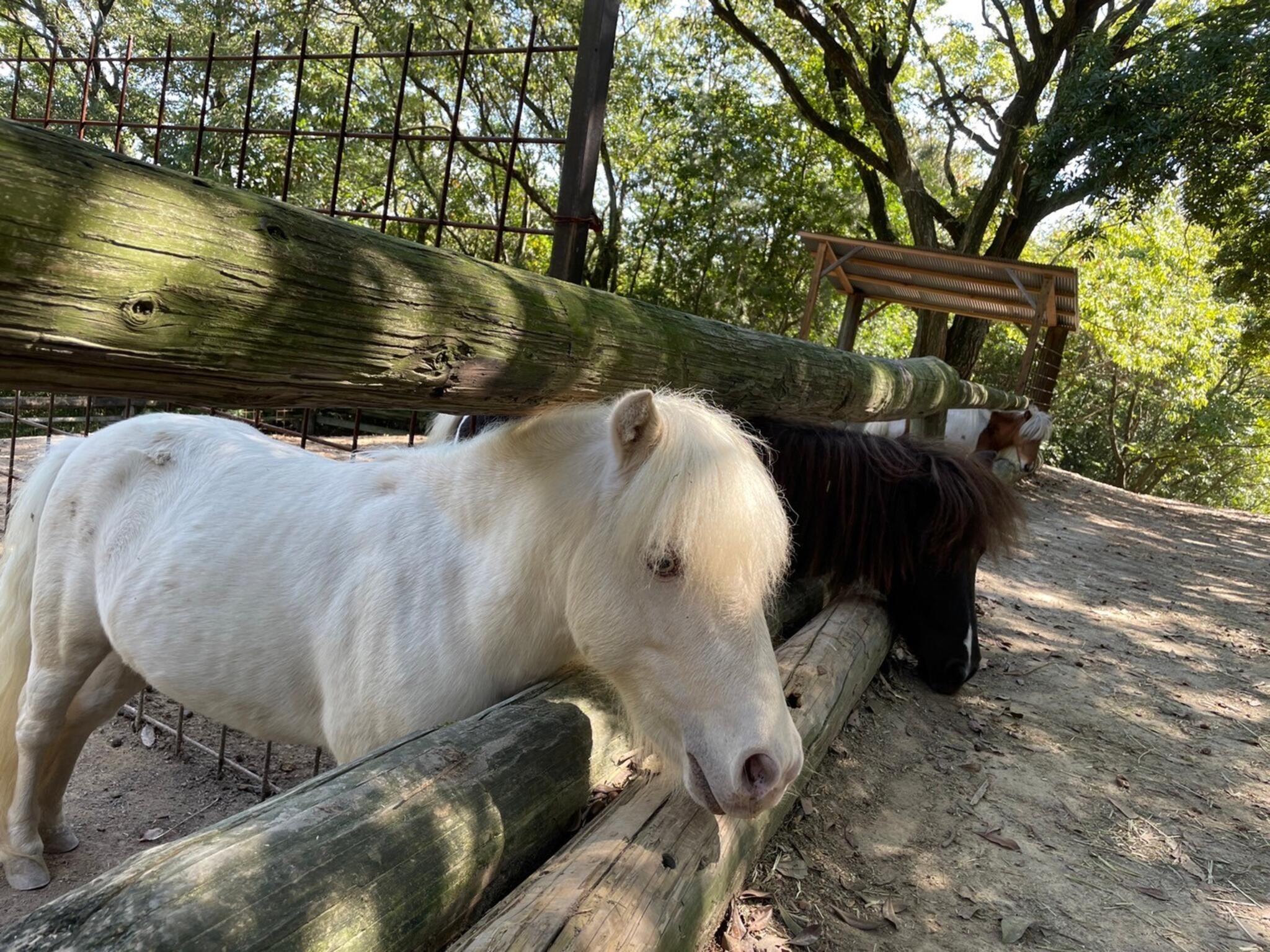 渋川 動物 公園 人気 ベビーカー