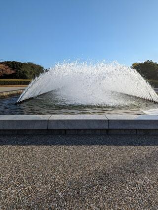 国営海の中道海浜公園のクチコミ写真2