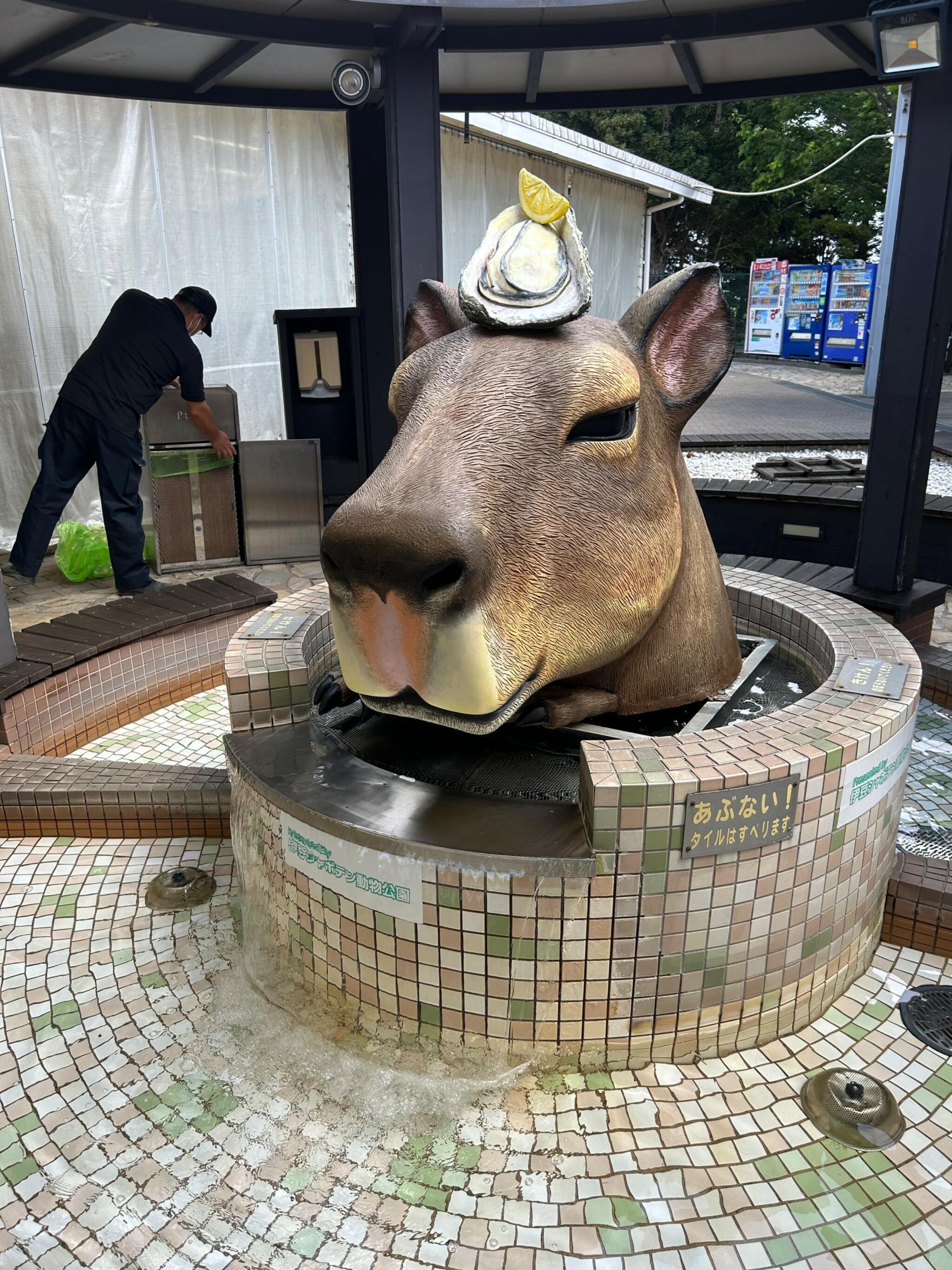 伊豆高原旅の駅ぐらんぱるぽーとの代表写真7