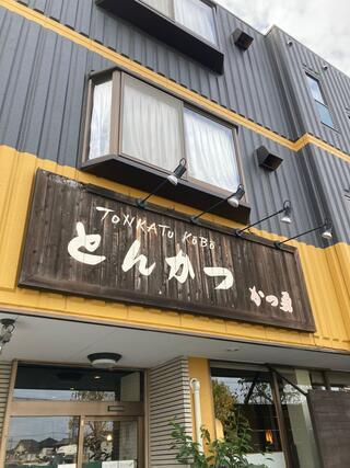 tonkato 