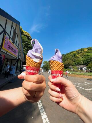 横須賀市 くりはま花の国のクチコミ写真1