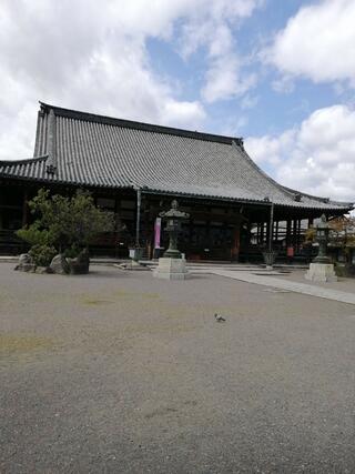 長浜別院 大通寺のクチコミ写真3