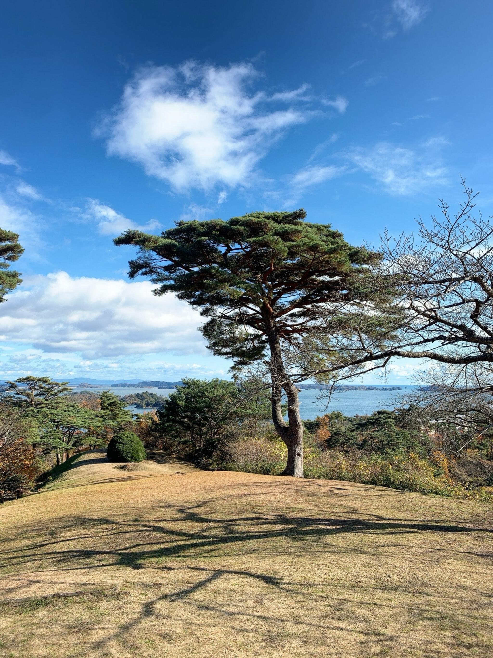 西行戻しの松公園の代表写真9