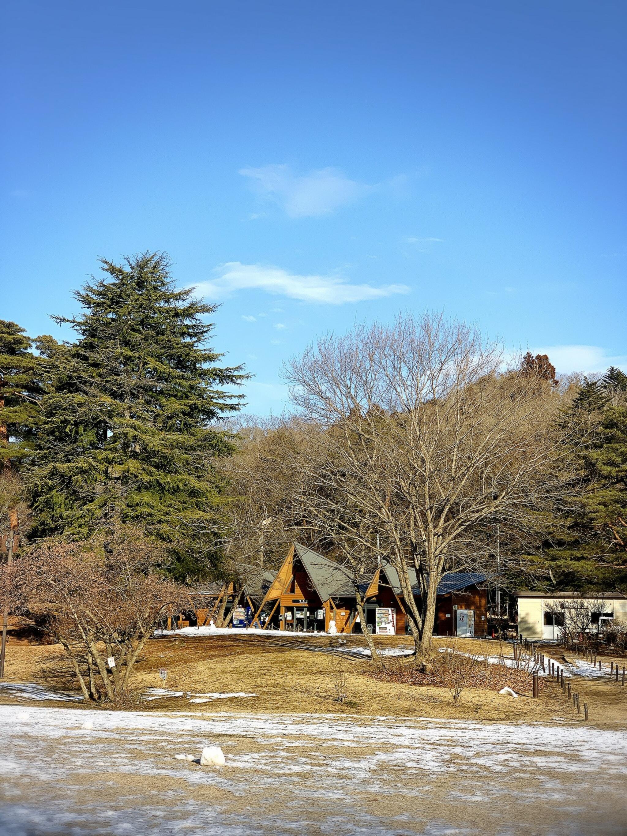 水の森公園キャンプ場の代表写真7