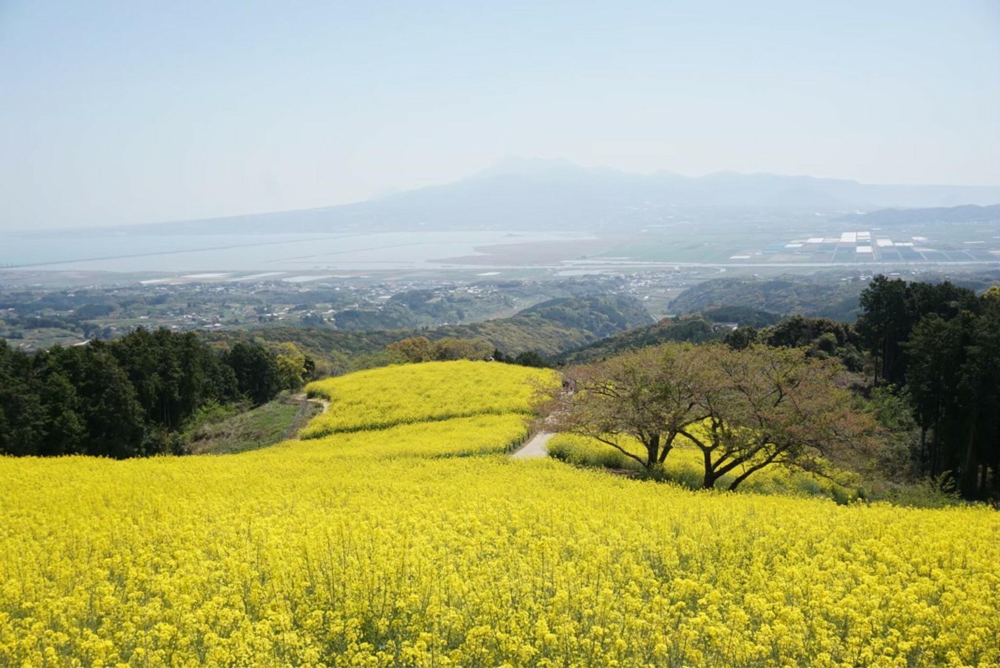 白木峰高原の代表写真9