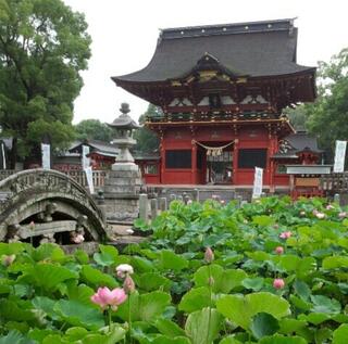 伊賀八幡宮のクチコミ写真1