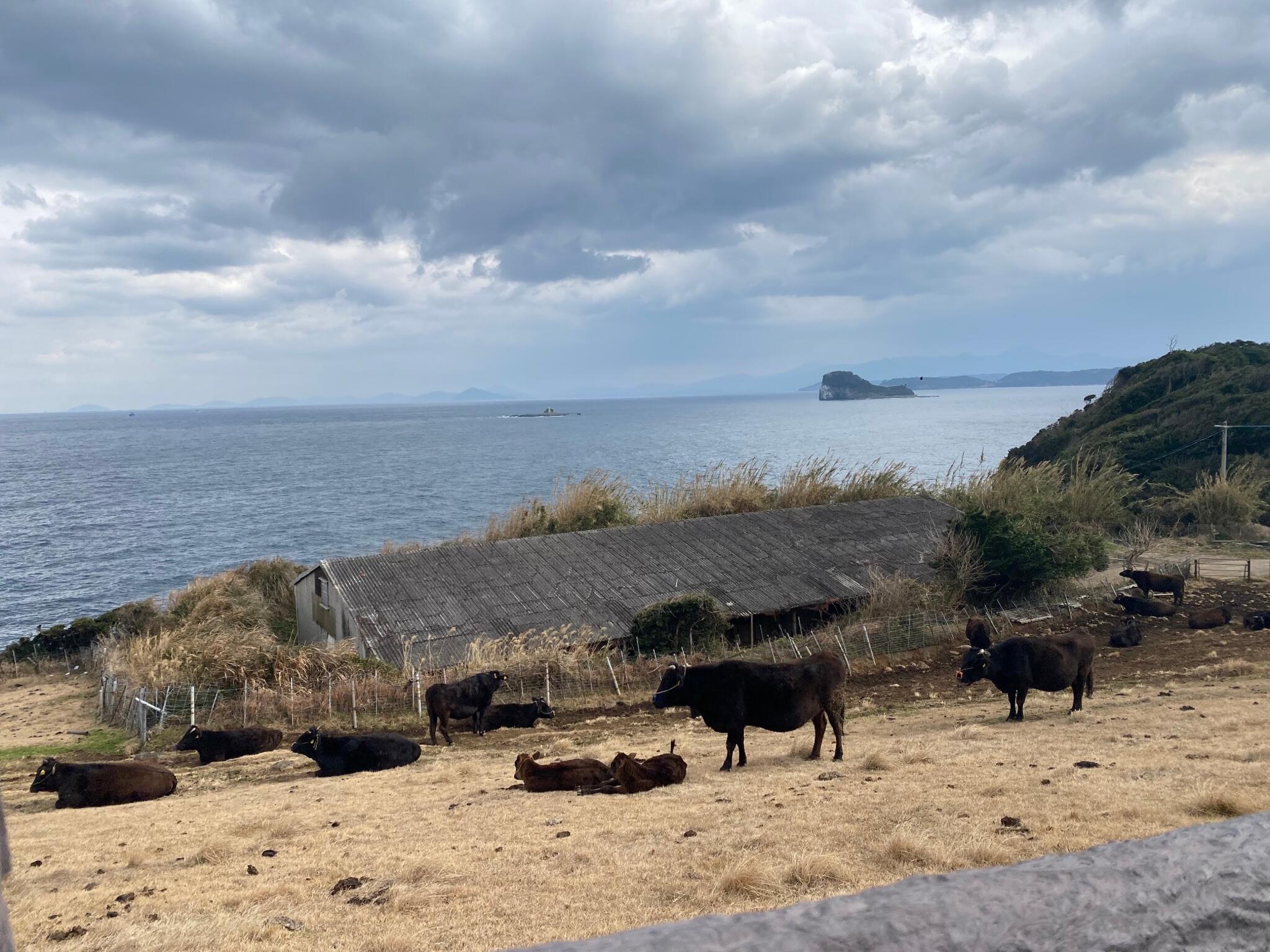 写真 : 杉ノ原放牧場 - 唐津市呼子町加部島/公園 | Yahoo!マップ