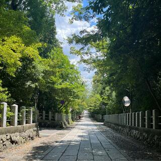 向日神社の写真14