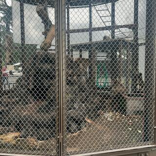 小田原城動物園の写真7