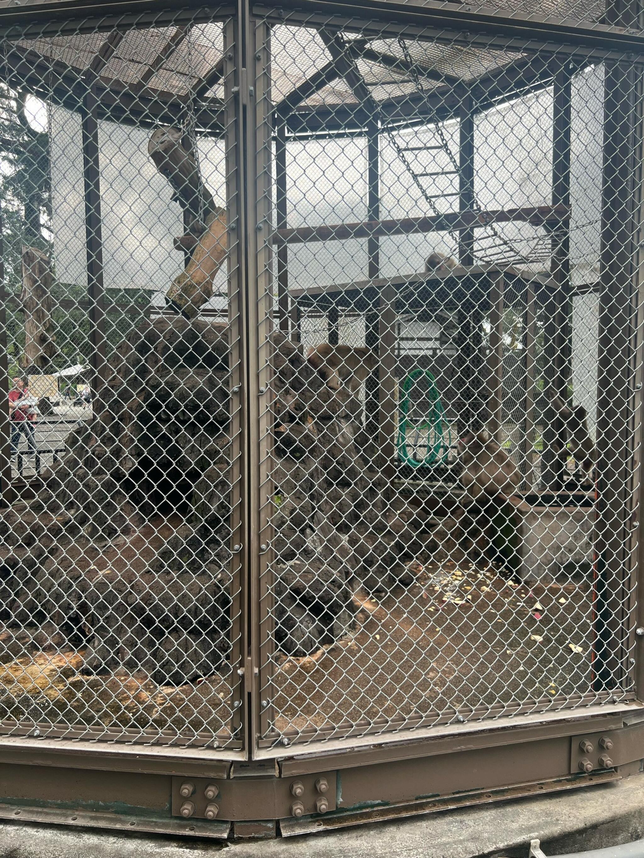 小田原城動物園の代表写真7