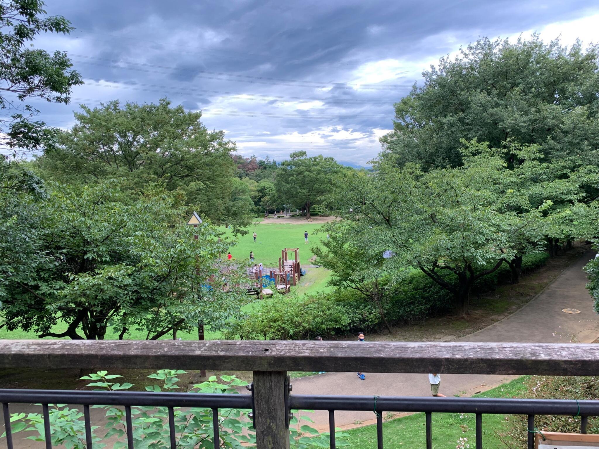 王禅寺 公園 バス セール