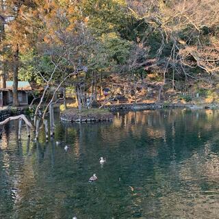 出流原弁天池の写真26