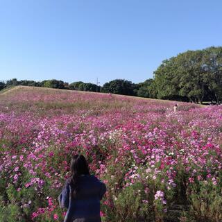 国営海の中道海浜公園のクチコミ写真1