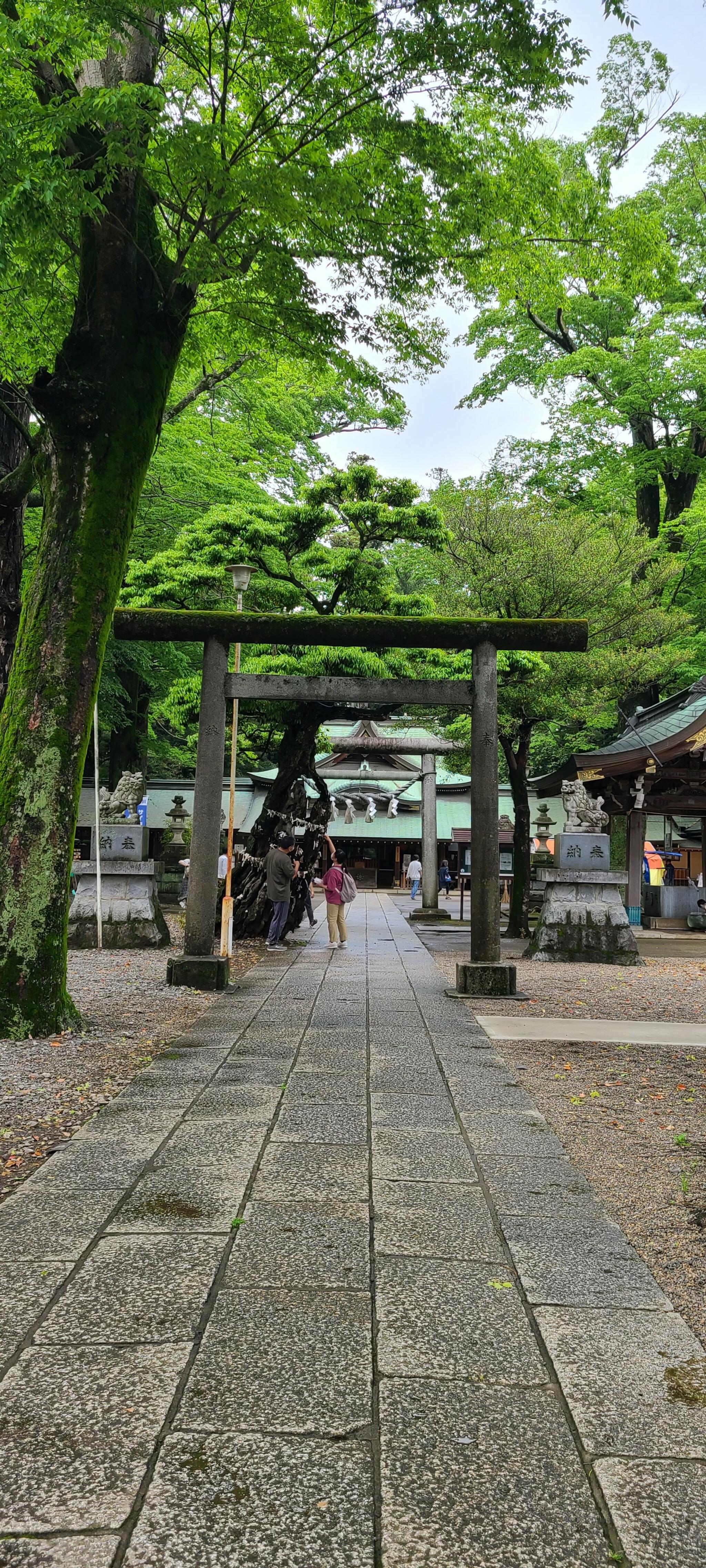 一言主神社の代表写真9