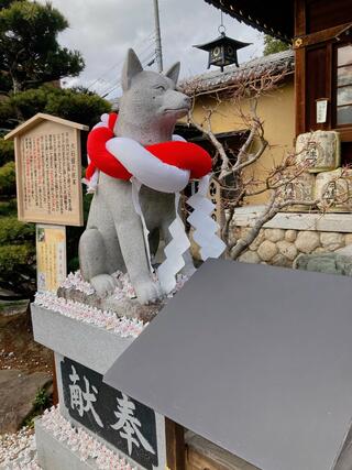 伊奴神社のクチコミ写真1