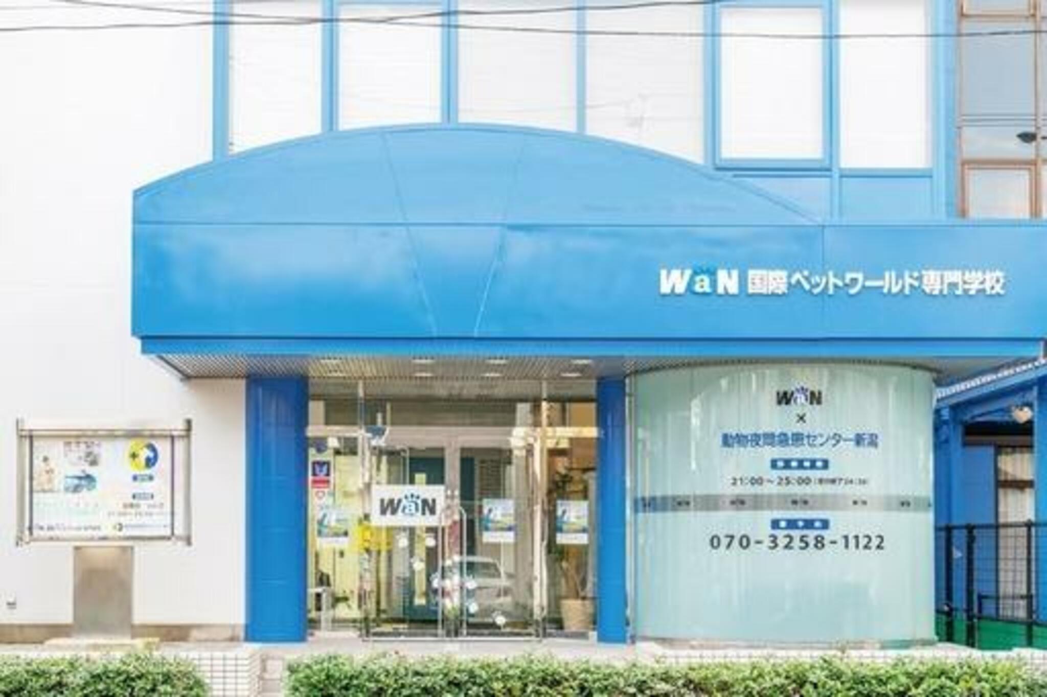 新潟市 販売 ペット 専門学校