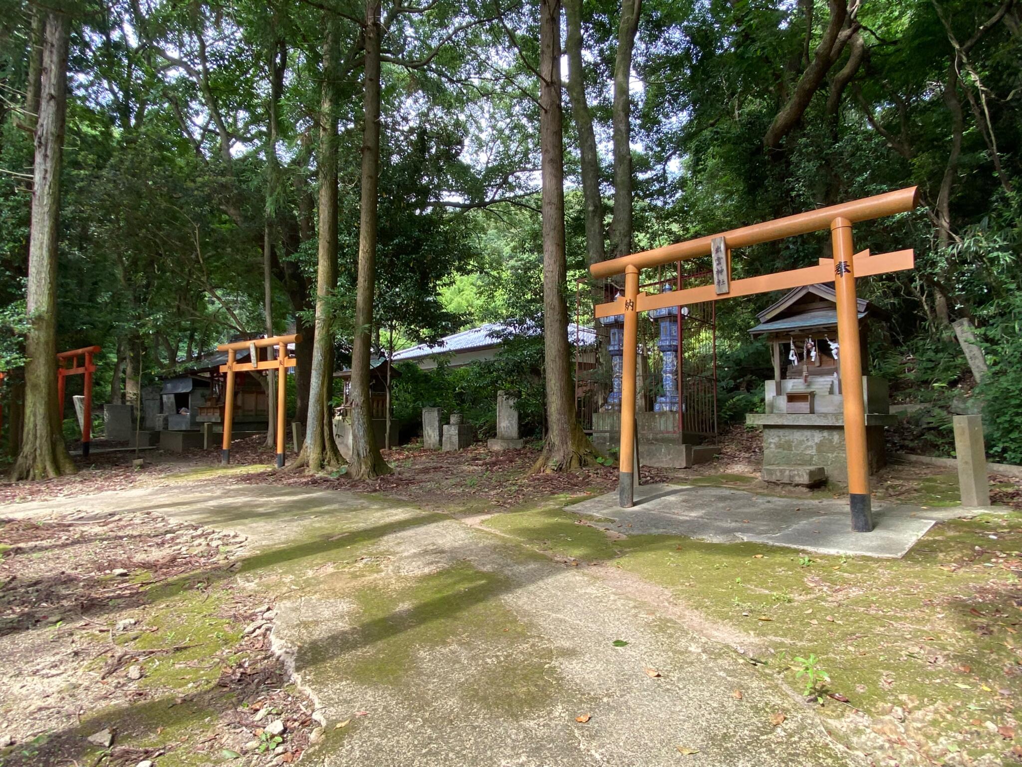 宇佐八幡神社の代表写真7