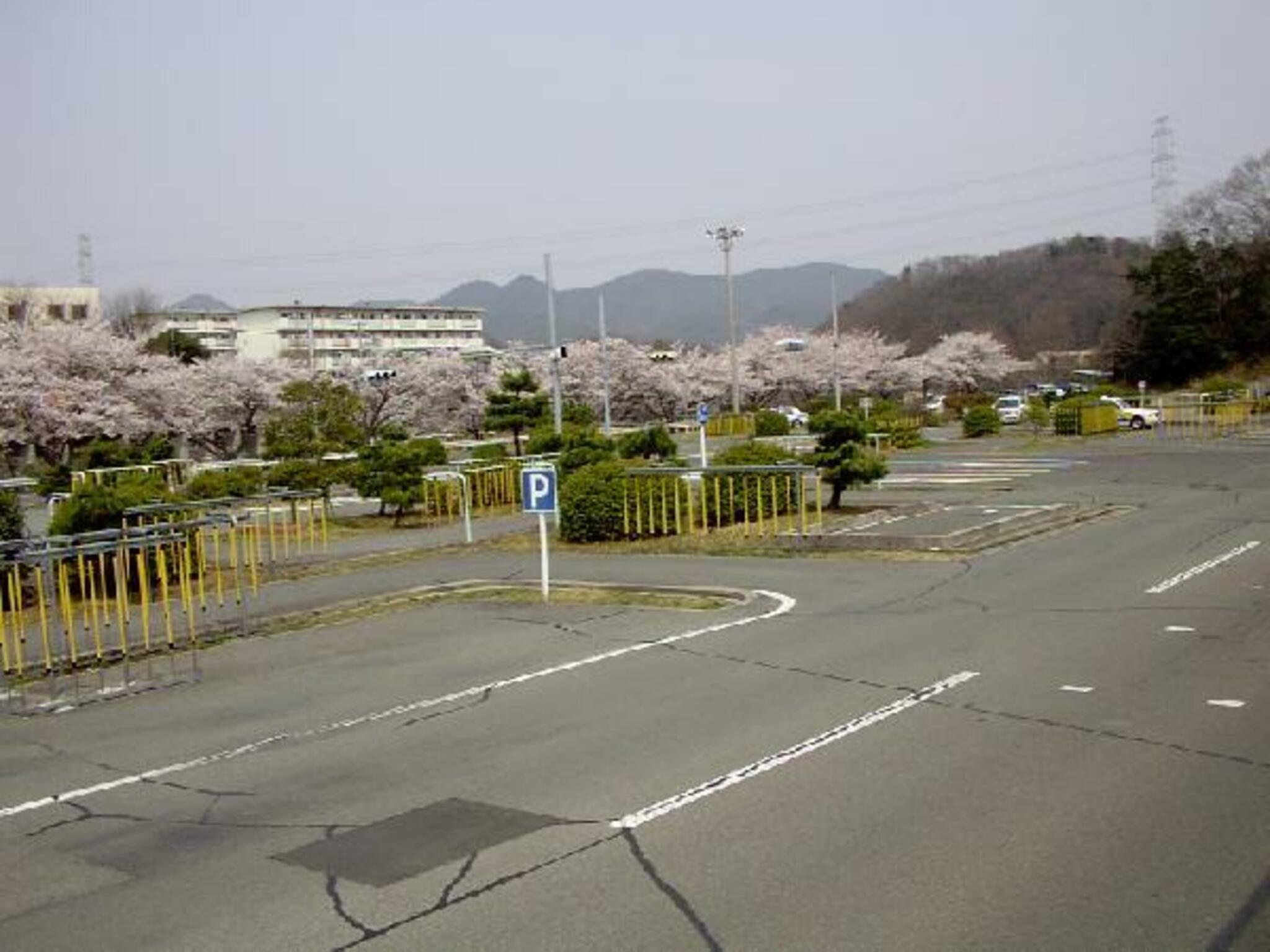 スマートドライバースクール神戸(神戸ドライヴィングスクール)の代表写真10