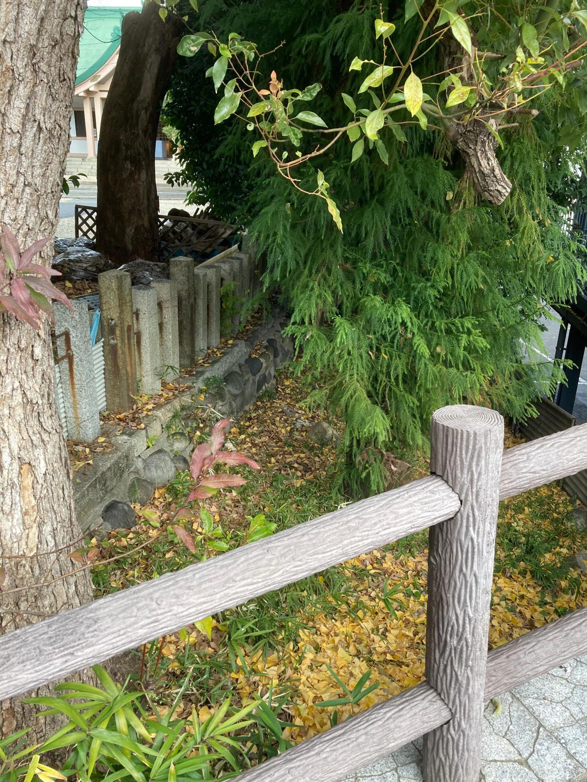 白山神社 - 名古屋市中区新栄/神社 | Yahoo!マップ