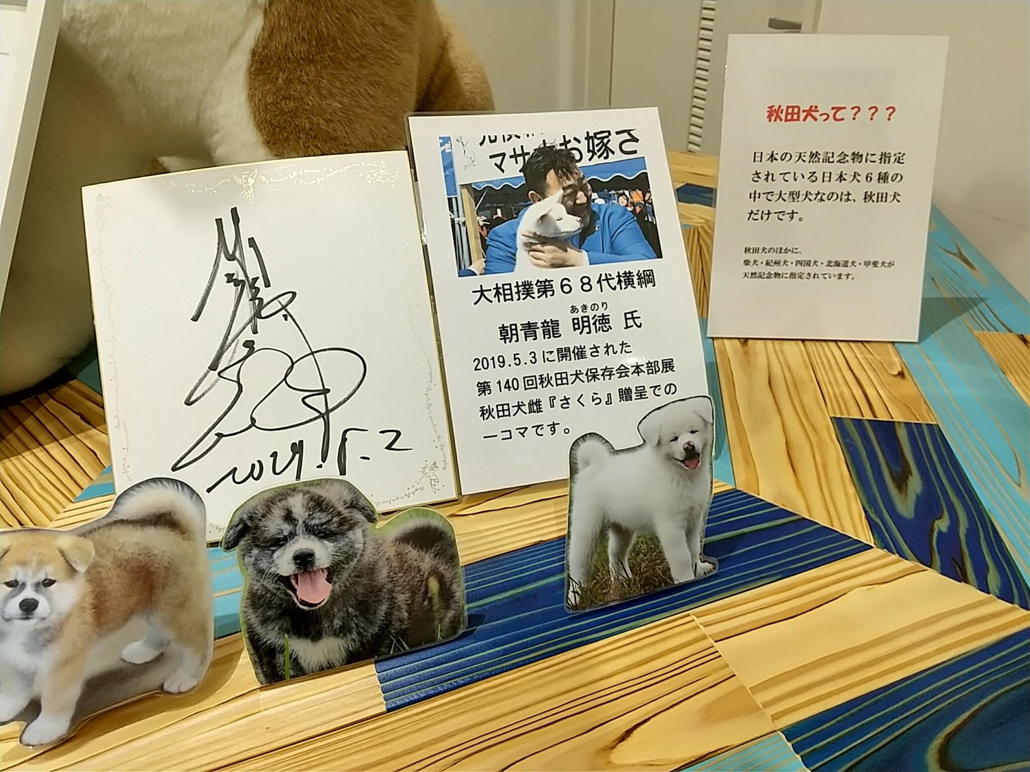秋田犬会館の代表写真4