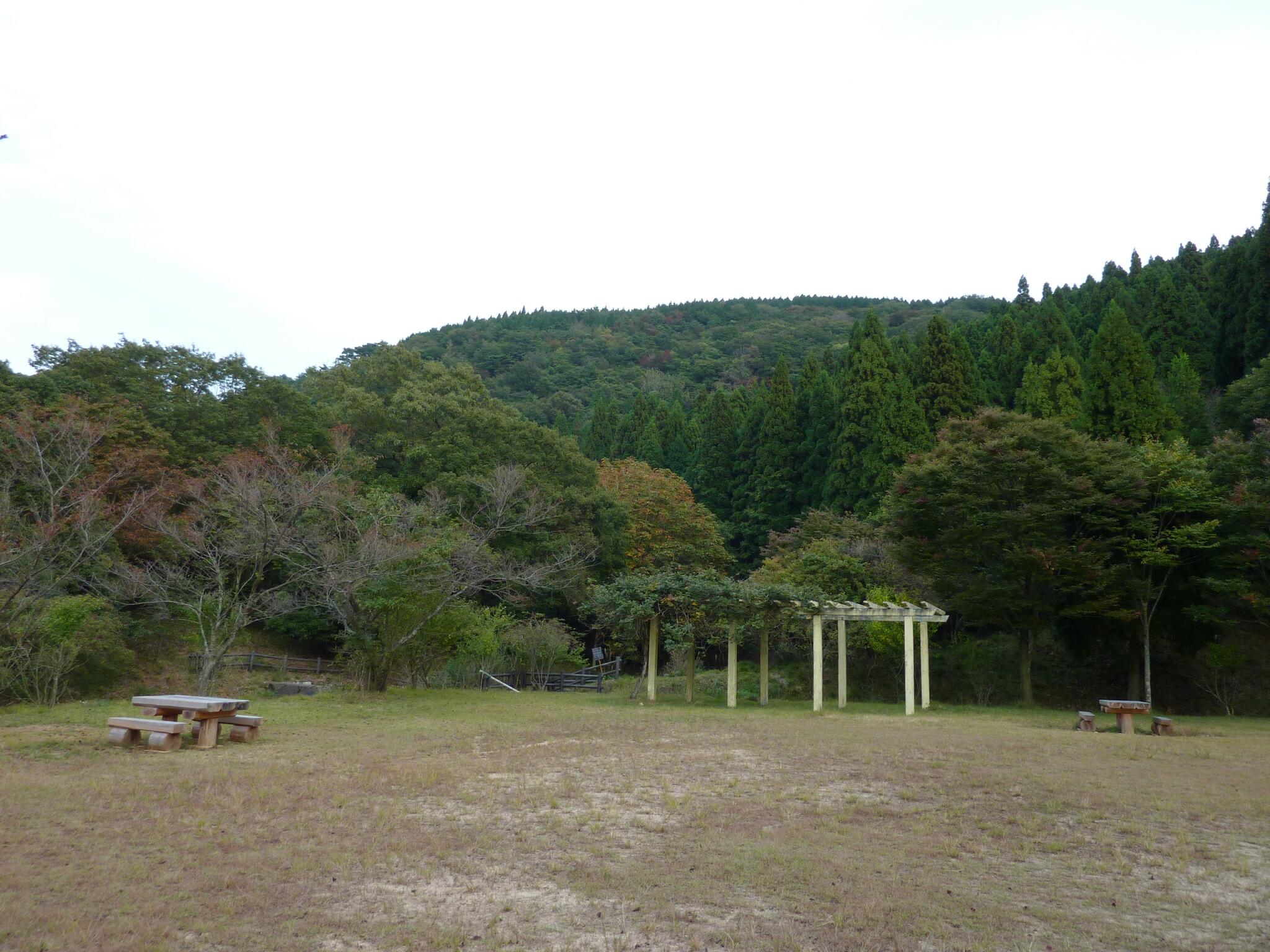 池ヶ成キャンプ場の代表写真4