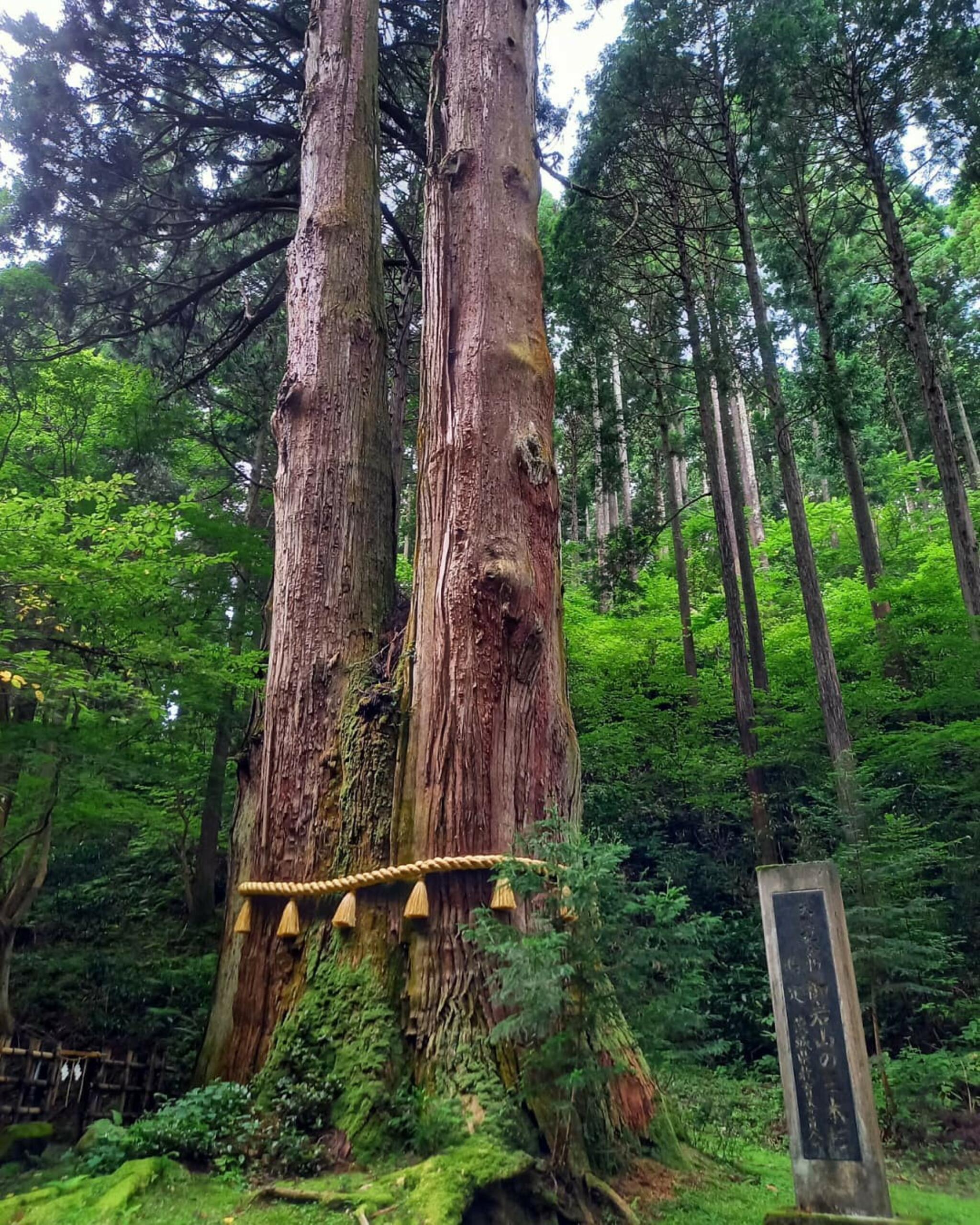 御岩神社の代表写真7