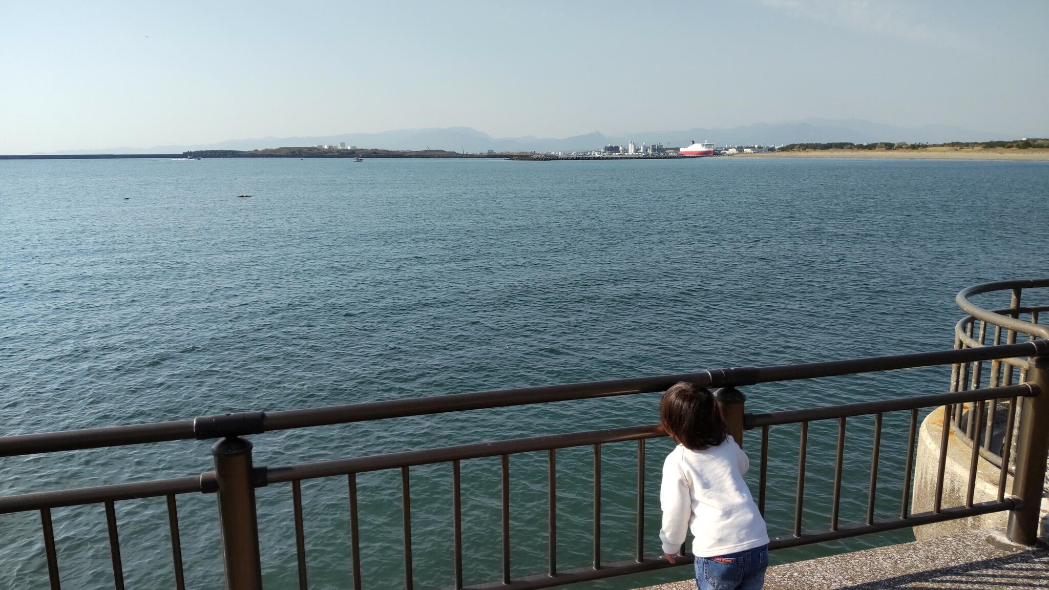 みやざき臨海公園の代表写真7