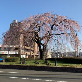 愛子駅の写真4