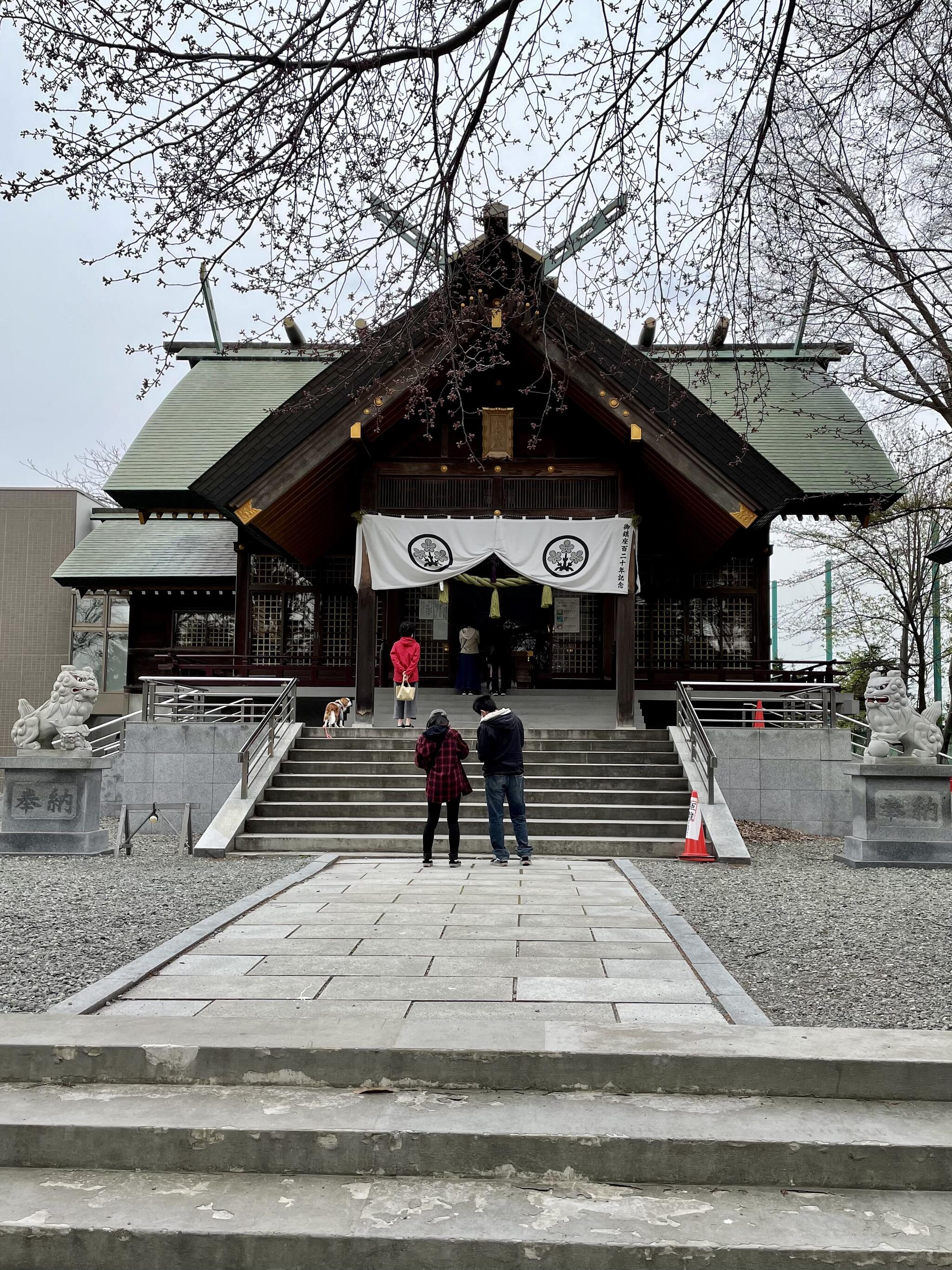 信濃神社の代表写真4