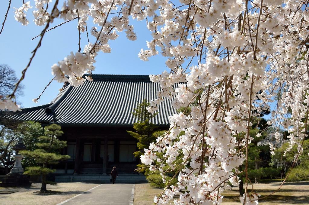 大山緑地 - 高浜市春日町/緑地 | Yahoo!マップ