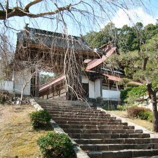 鳳源寺の写真10