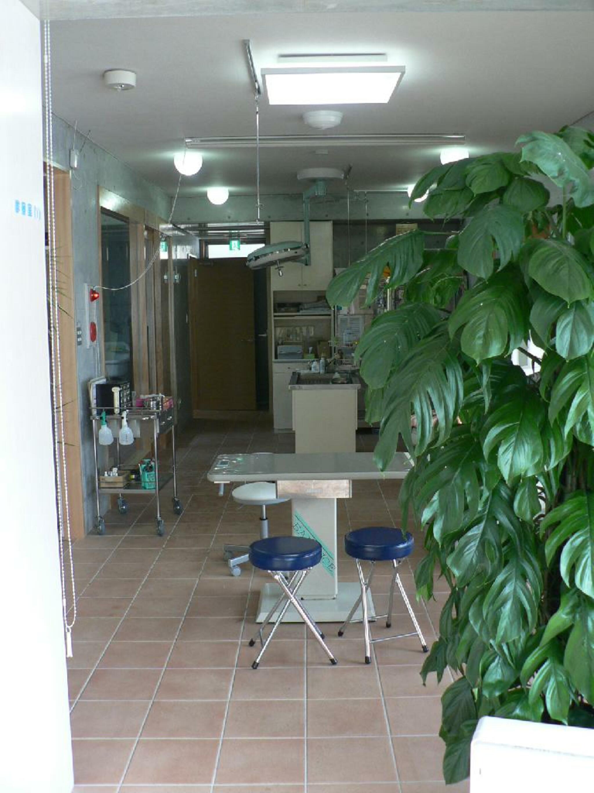 KAITA動物病院の代表写真4